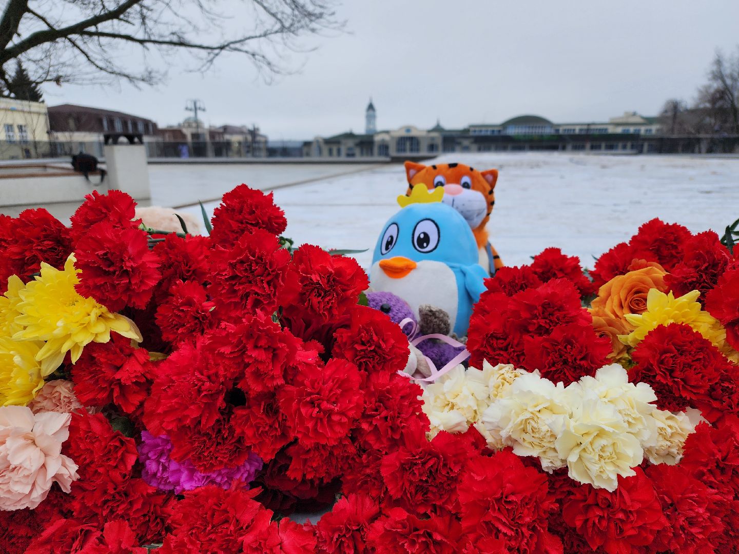 теракт, Крокус сити холл, день общенационального траура, Ногинск, Богородский городской округ,