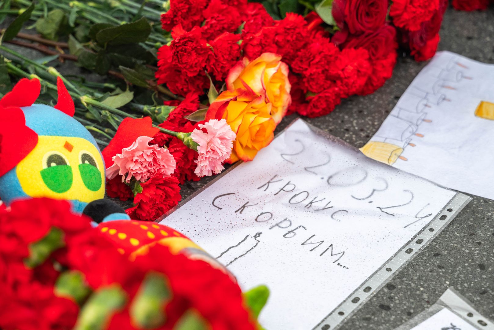 Реутов, ЧП, теракт, мемориал, день памяти, траур, митиг,