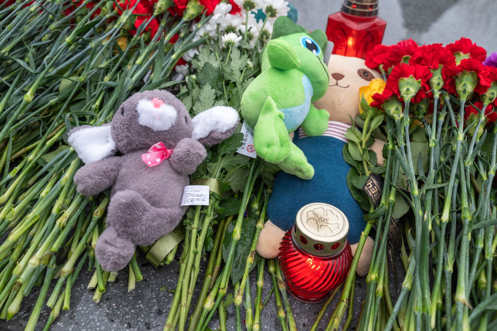 Реутов, ЧП, теракт, мемориал, день памяти, траур, митиг,