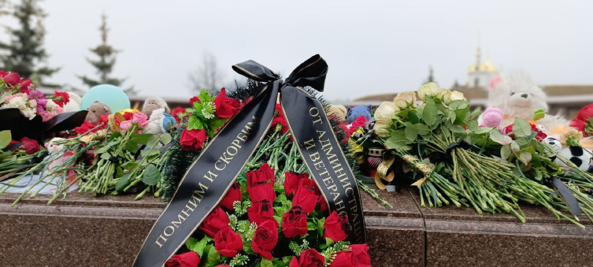 Дмитров,теракт,