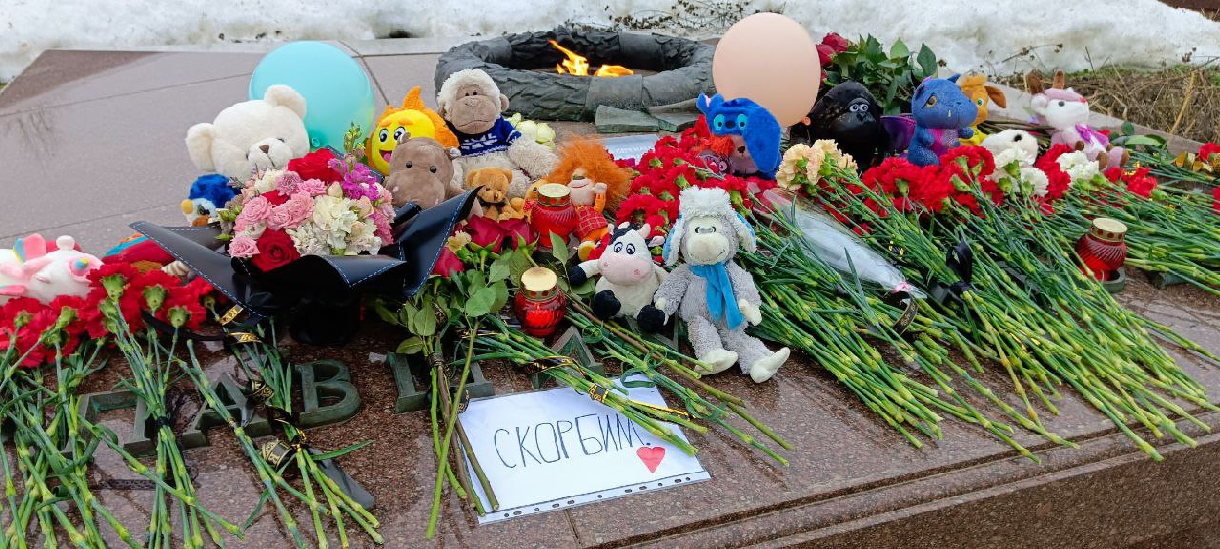 Дмитров,теракт,