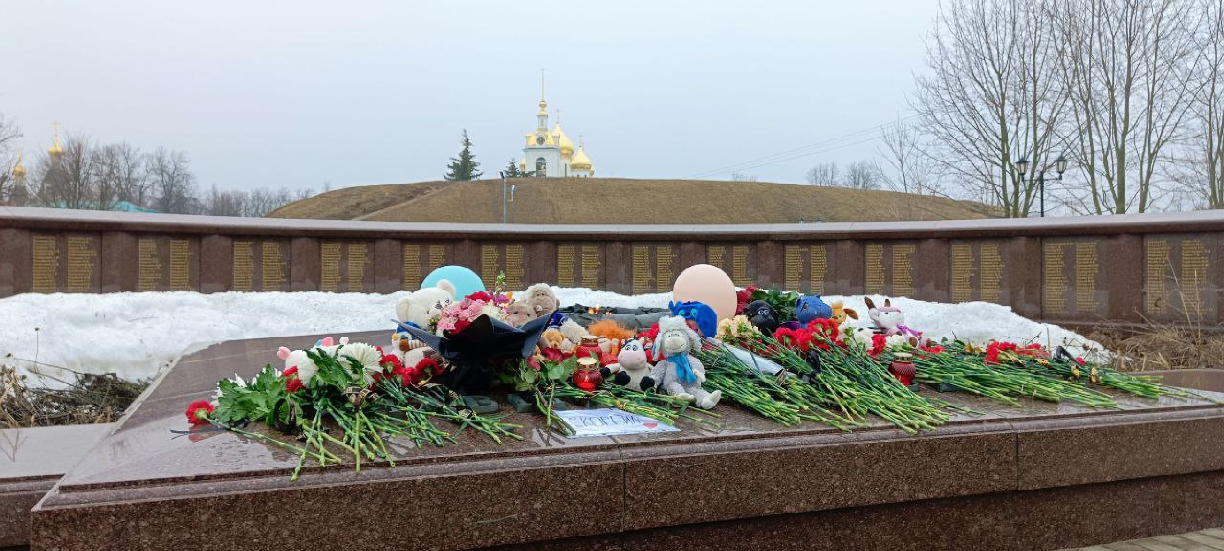 Дмитров,теракт,