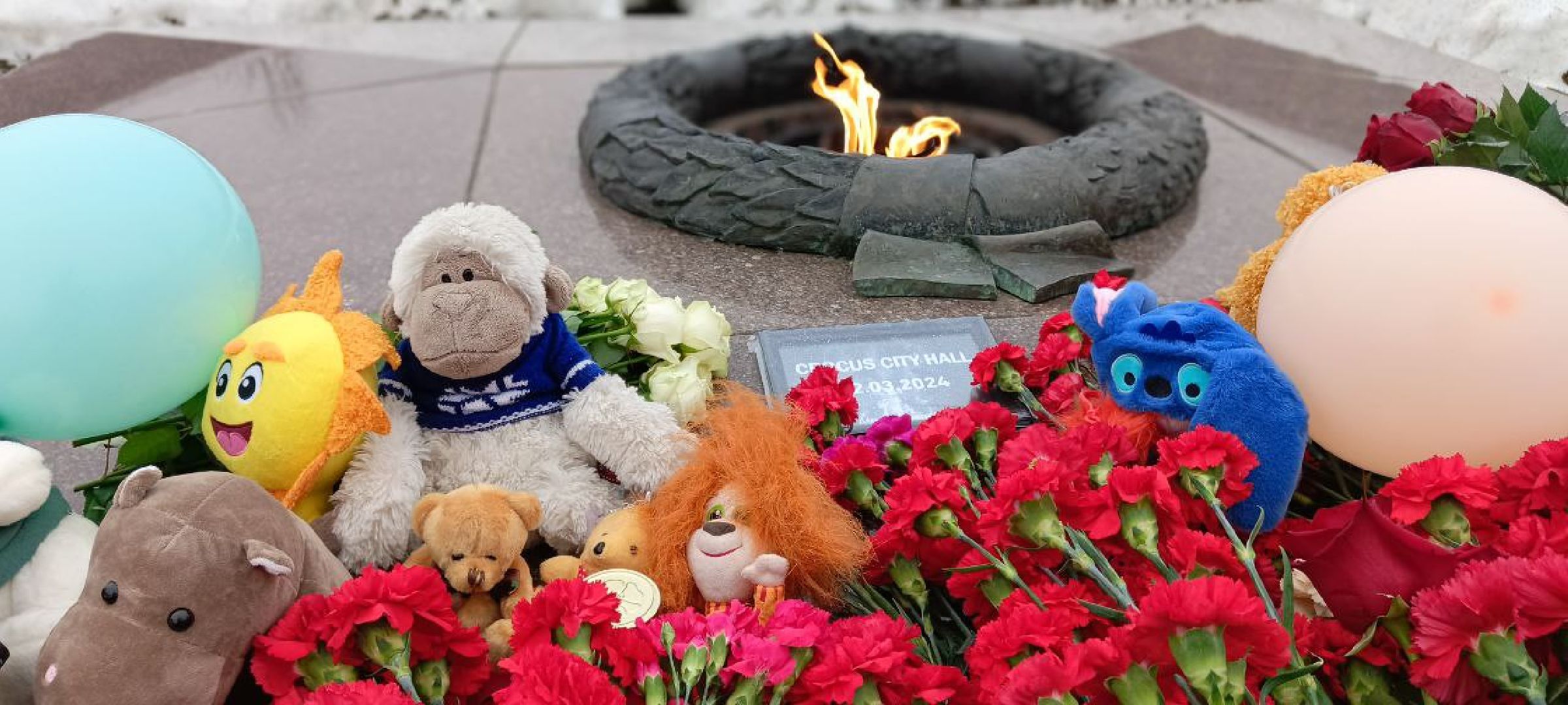 Дмитров,теракт,