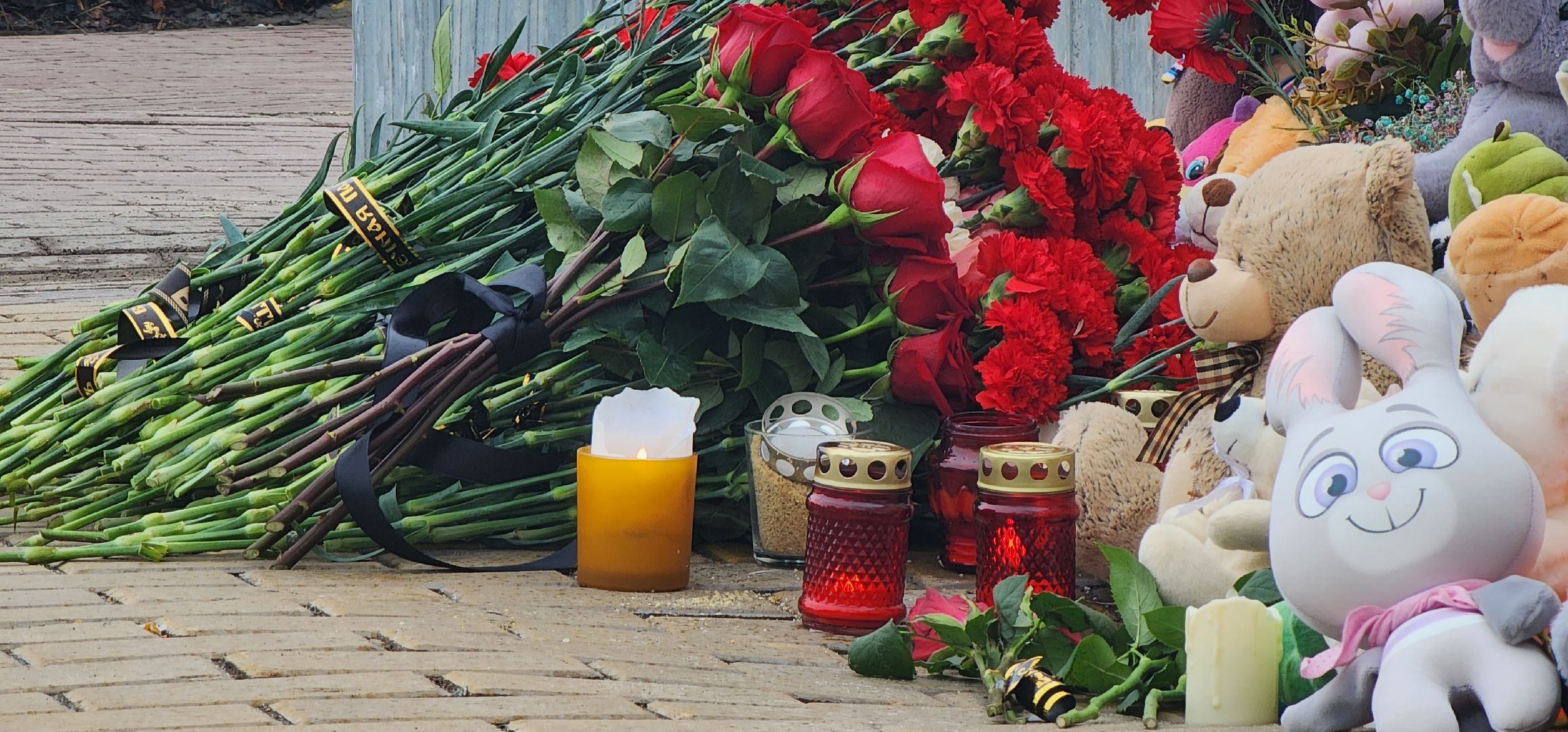 луховицы, стихийный мемориал,теракт,