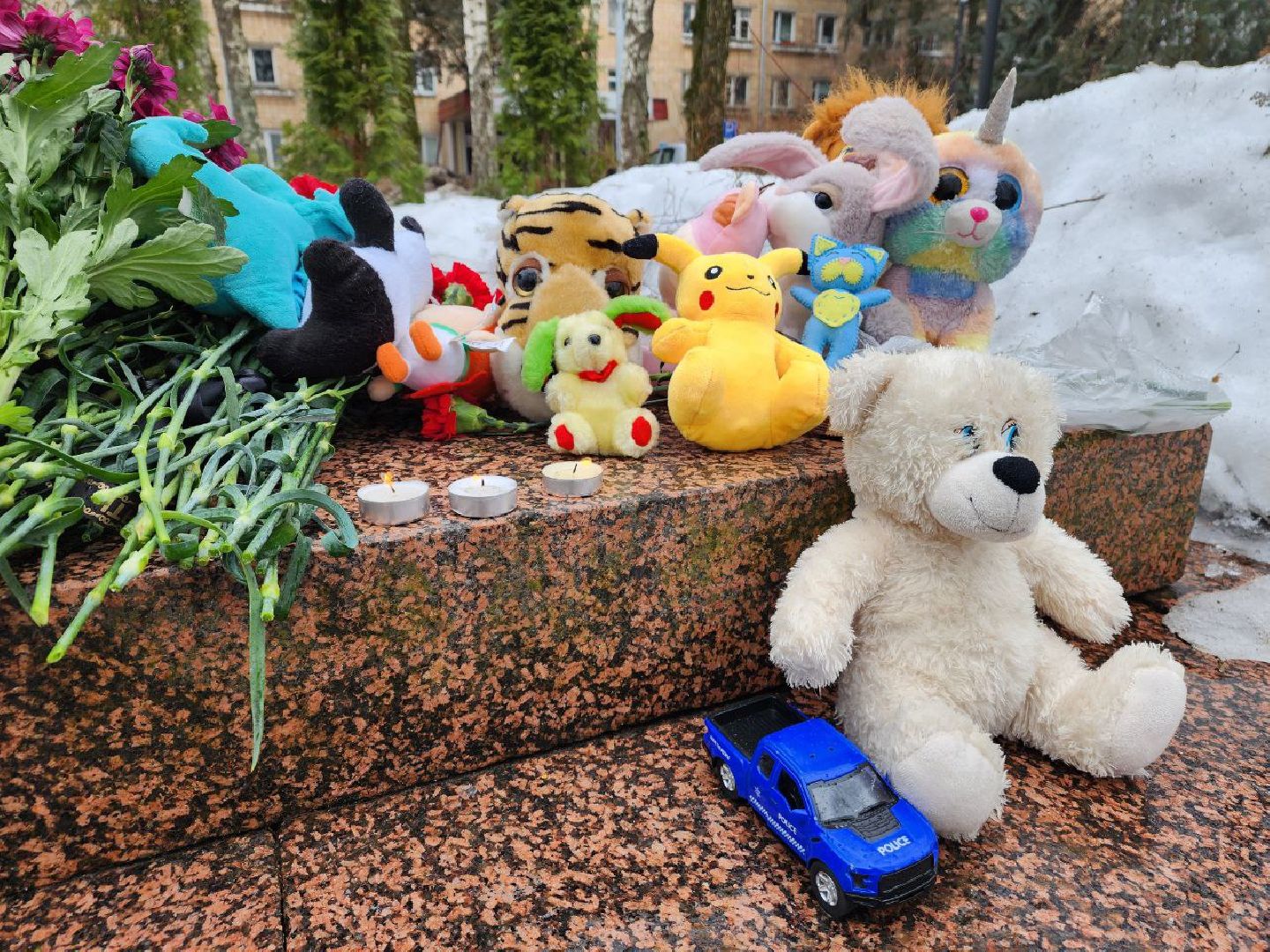 пущино, теракт в крокус сити холле, теракт,