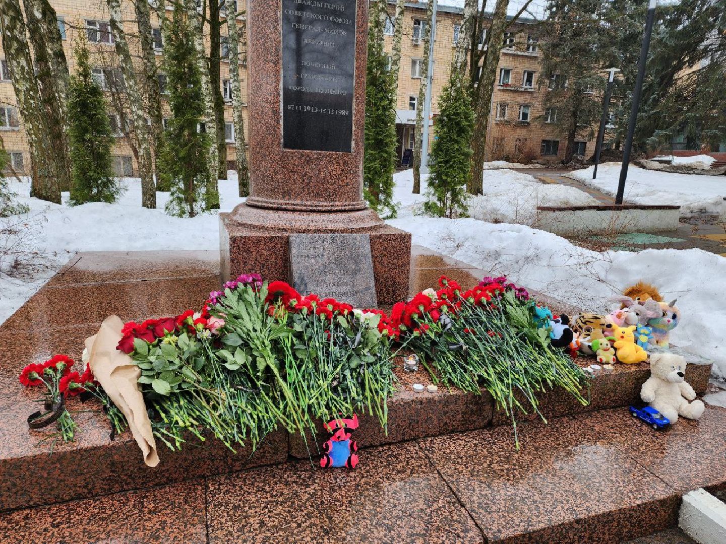 пущино, теракт в крокус сити холле, теракт,