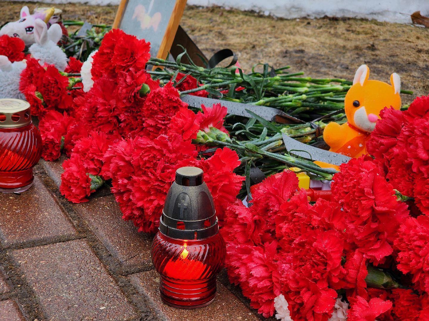 Дубна, Акция памяти, Мемориал, Донор, Медик,теракт,