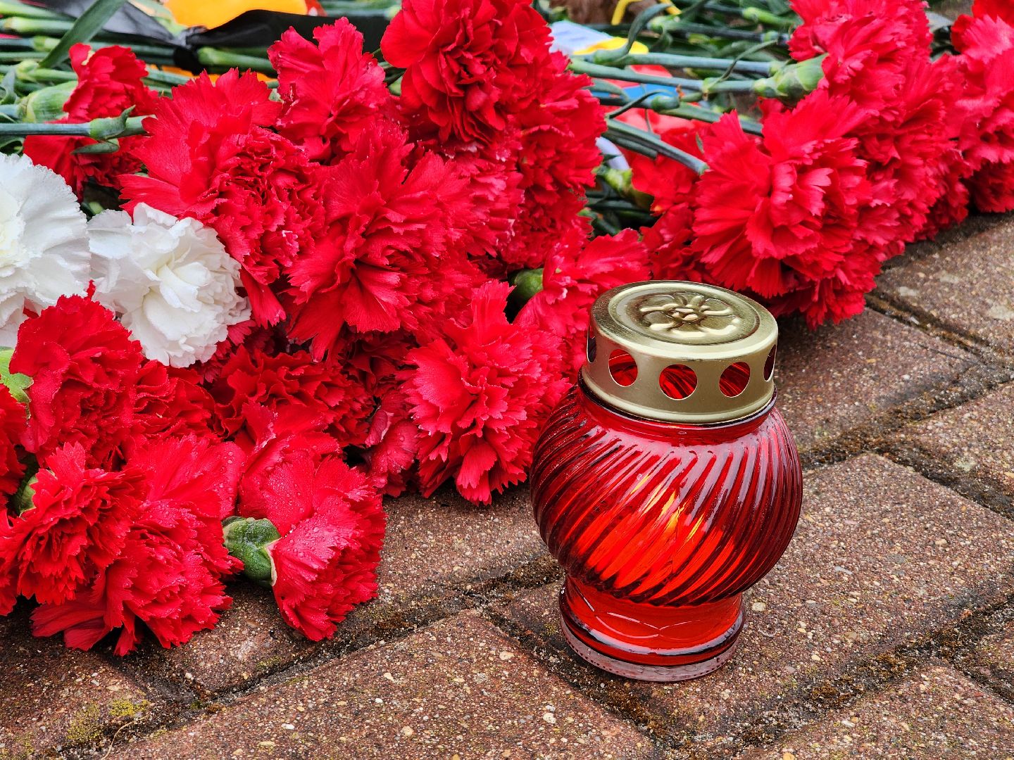 Дубна, Акция памяти, Мемориал, Донор, Медик,теракт,