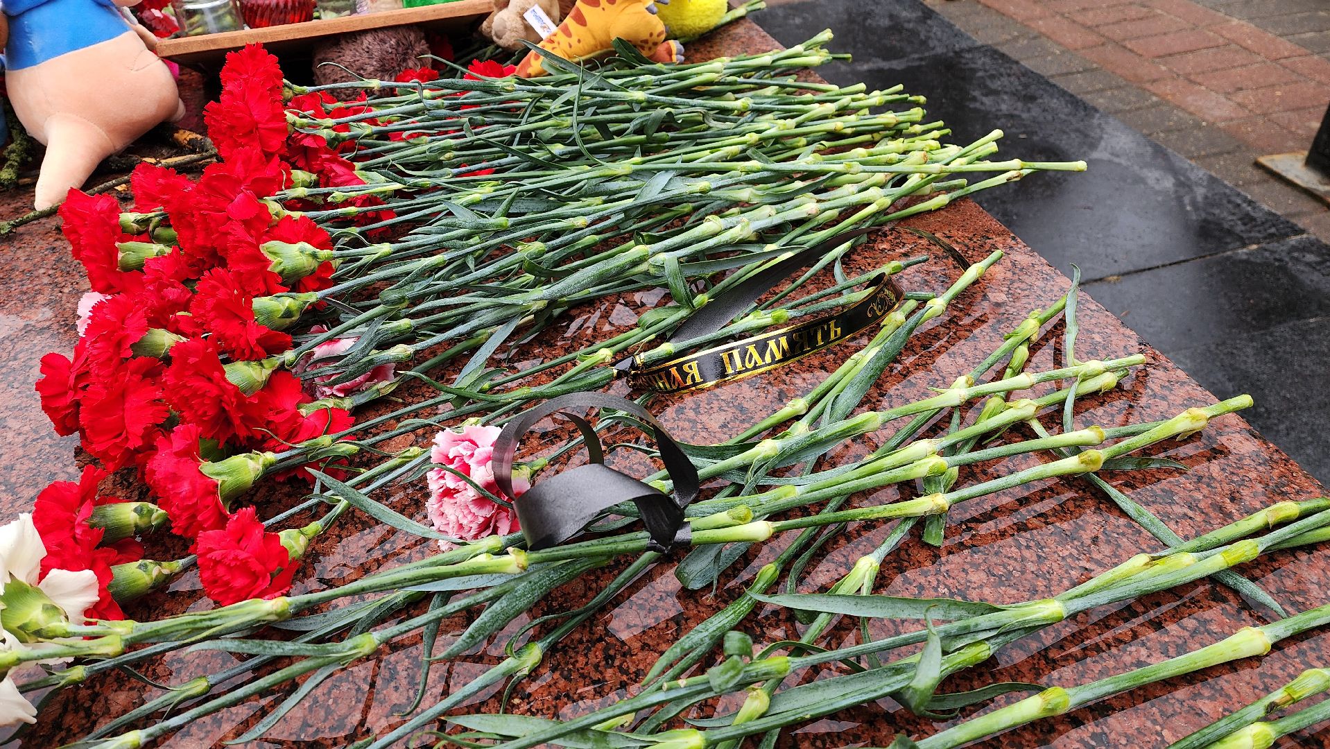 память, митинг памяти,теракт,