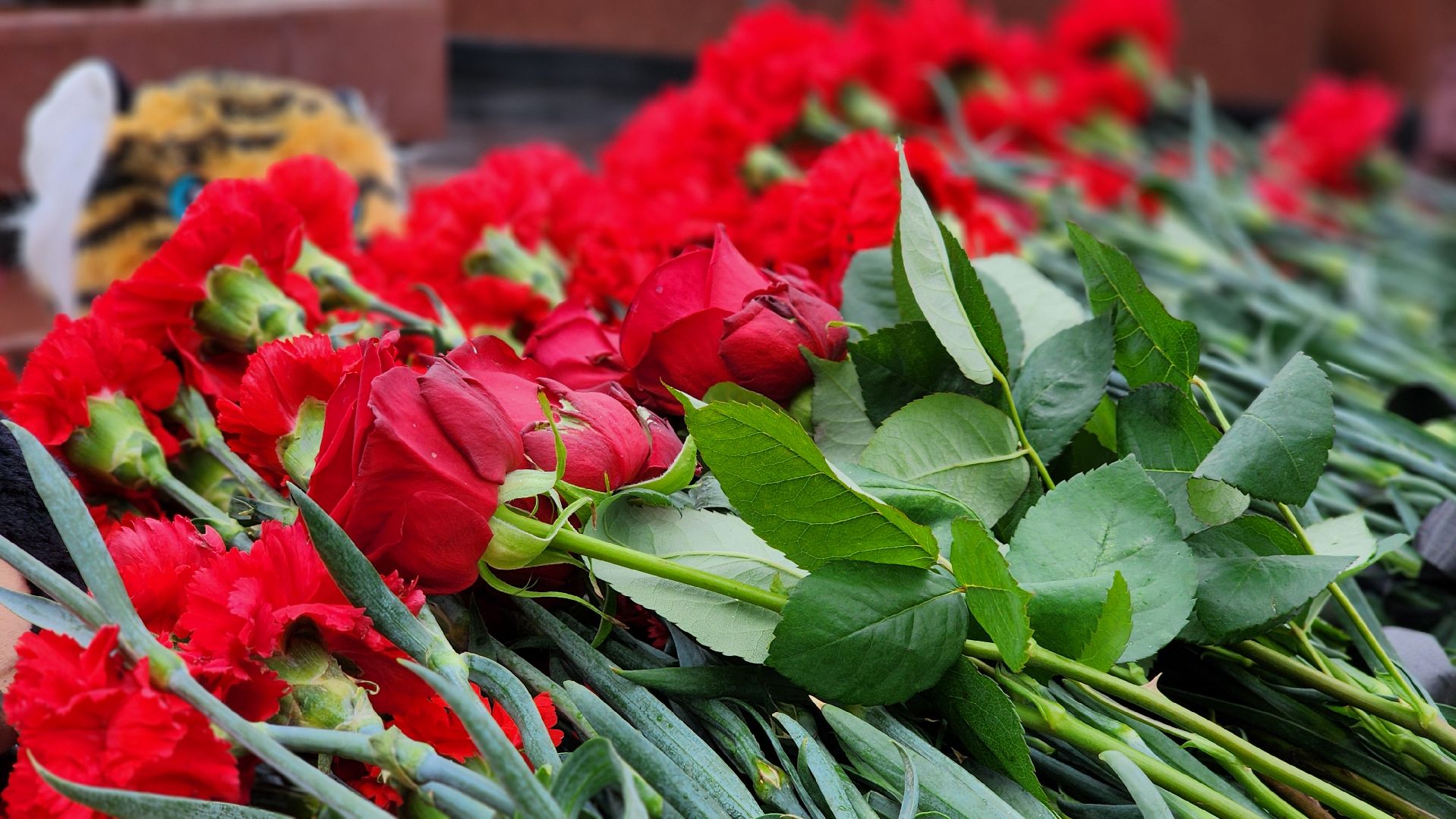 память, митинг памяти,теракт,