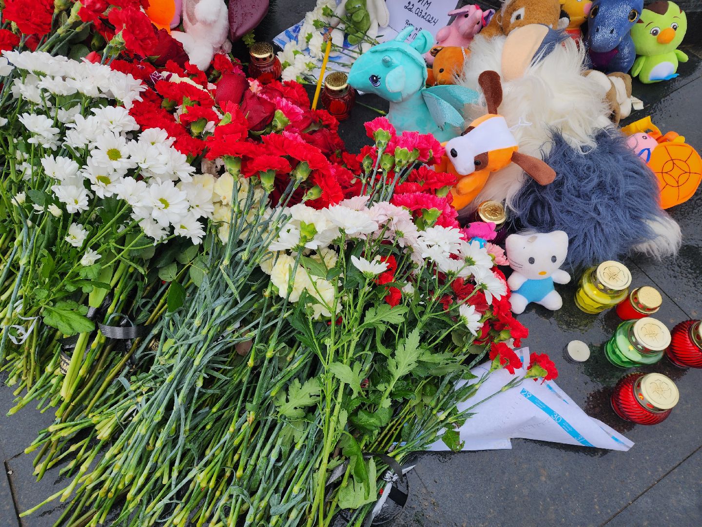 Пушкино, День траура,крокус сити, память,теракт,