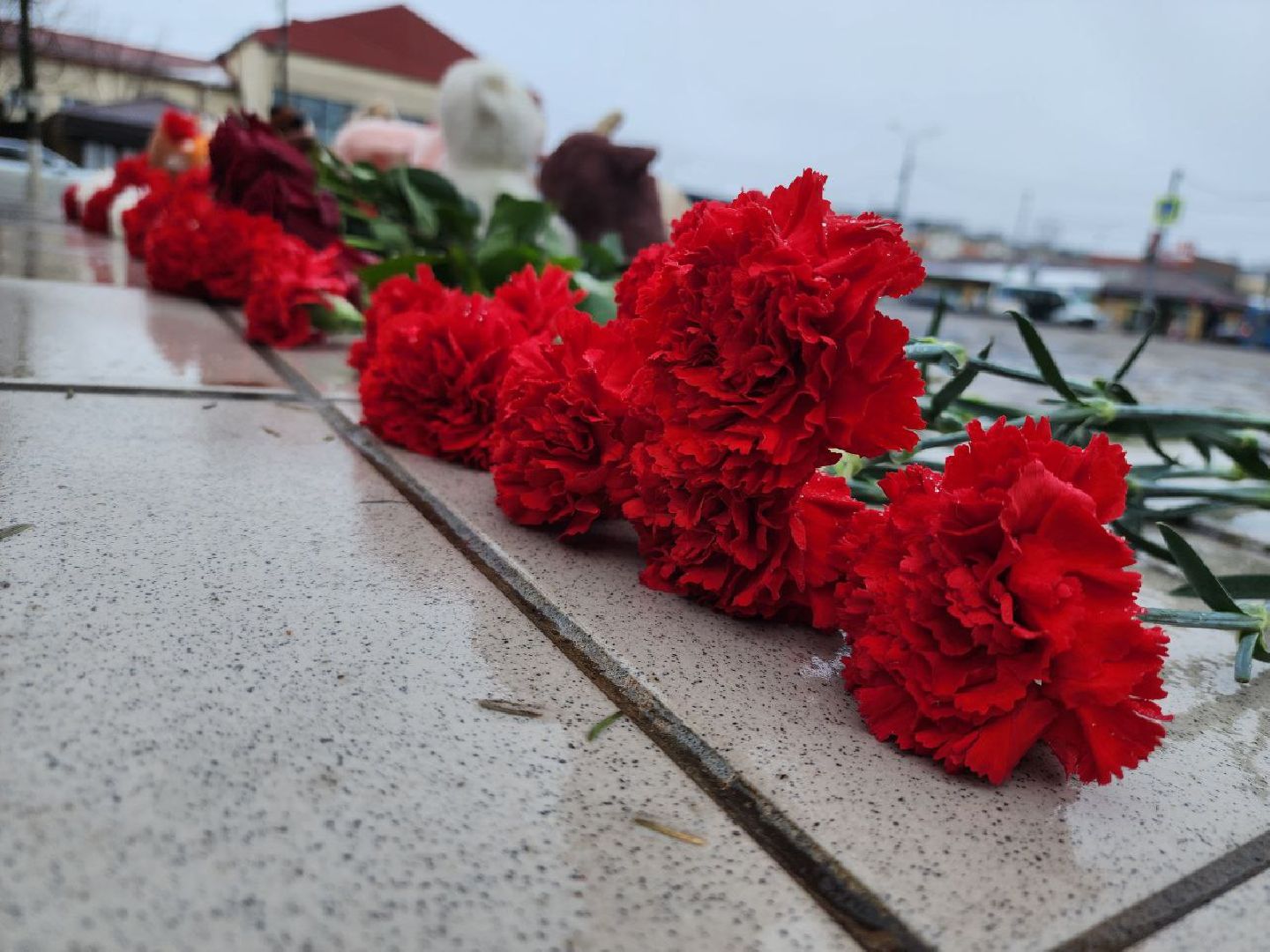 можайск, можайский городской округ, подмосковье, памятная акция, стихийный мемориал, память погибших, жители, теракт, теракт в крокус сити холле,