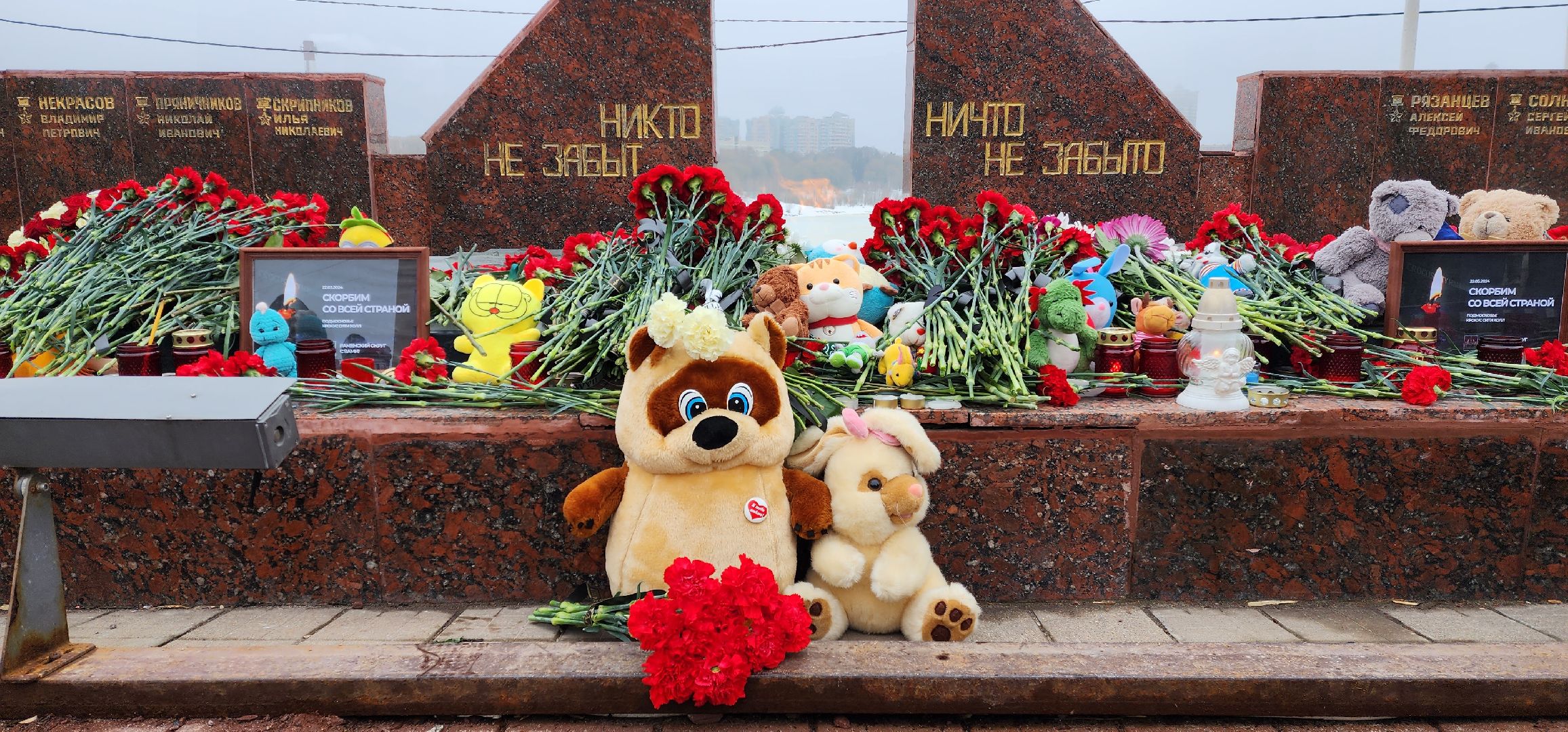 раменское, общество, день траура и скорби по погибшим в Красногрске,теракт,