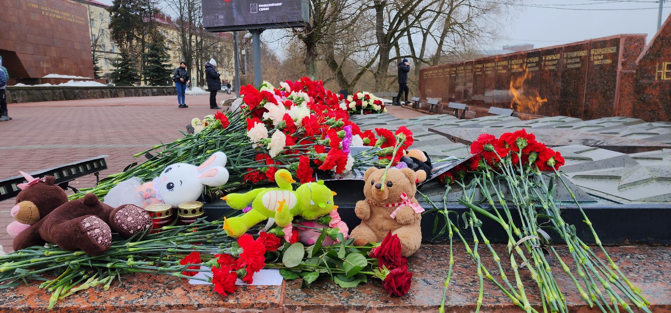 раменское, общество, день траура и скорби по погибшим в Красногрске,теракт,