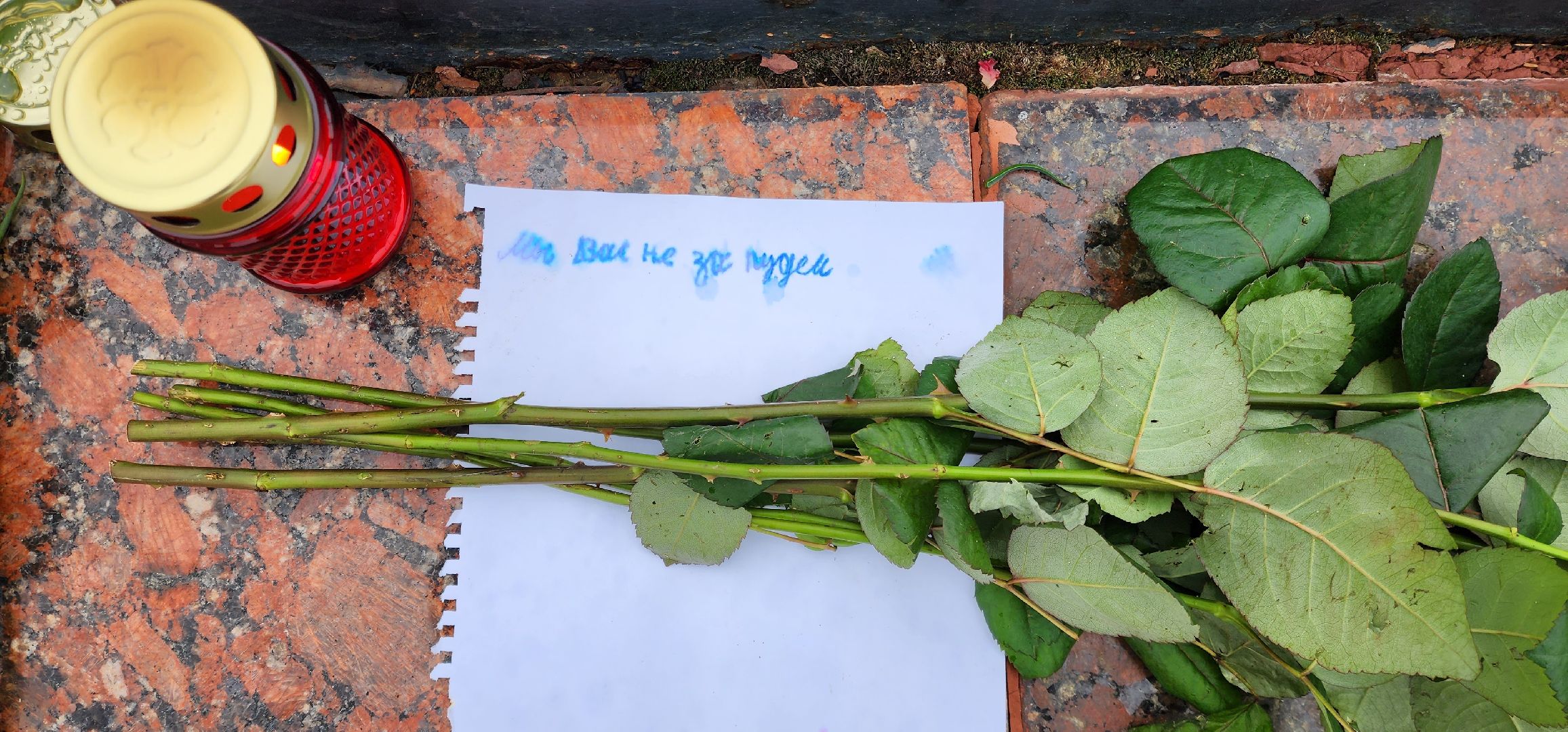 раменское, общество, день траура и скорби по погибшим в Красногрске,теракт,