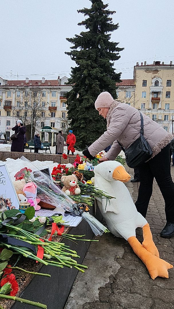 электросталь, мой город, жители города, память, день памяти, мемориал, теракт, теракт в крокус сити холле,