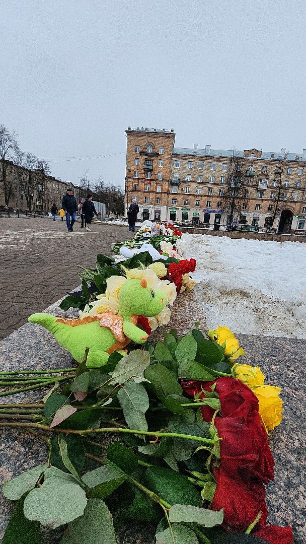 электросталь, мой город, жители города, память, день памяти, мемориал, теракт, теракт в крокус сити холле,