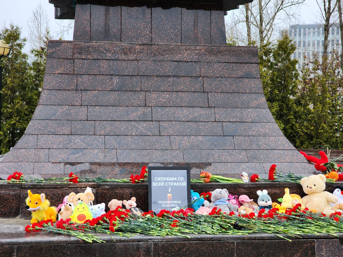 Фрязино, митинг,теракт,