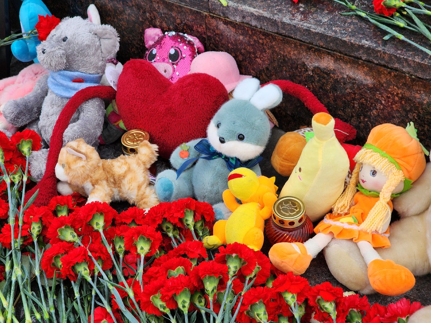 Фрязино, митинг,теракт,