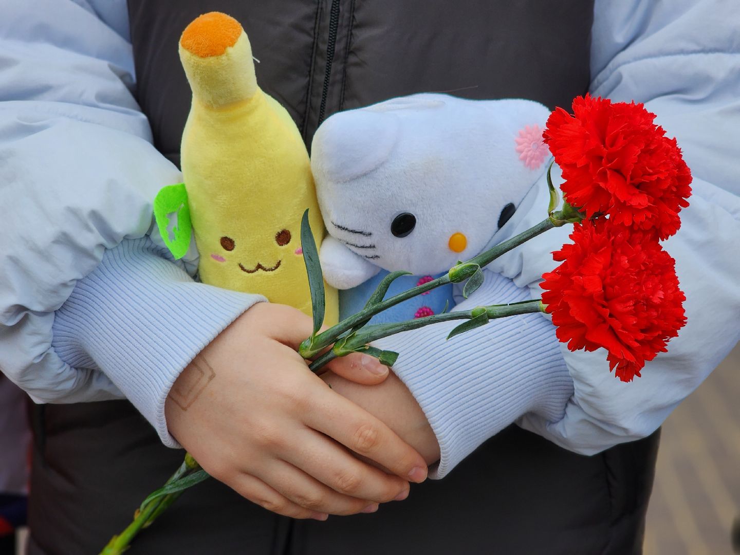 Фрязино, митинг,теракт,