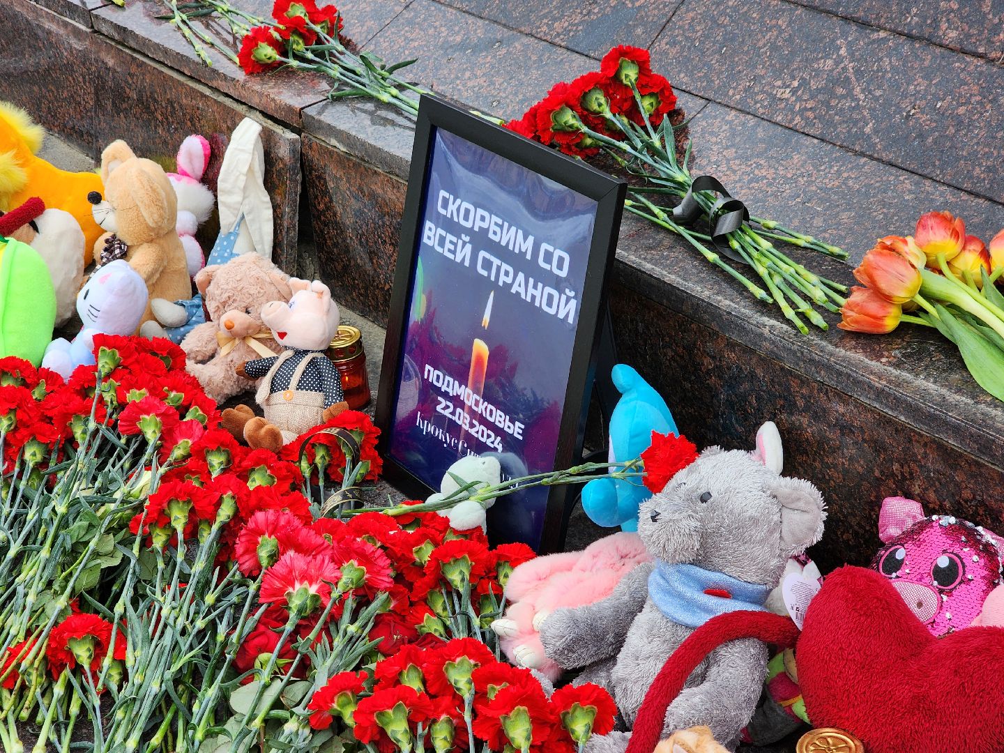 Фрязино, митинг,теракт,