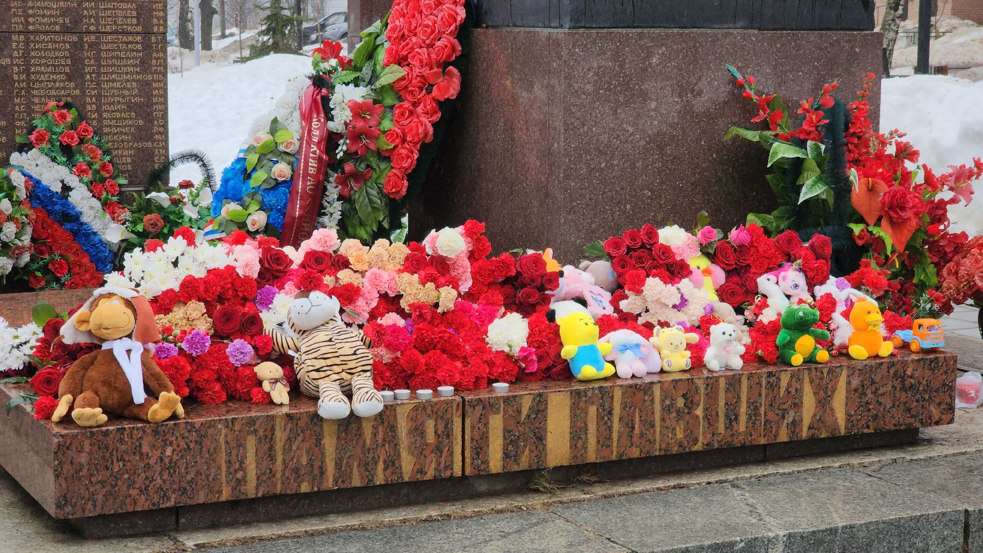 долгопрудный, теракт, акция,