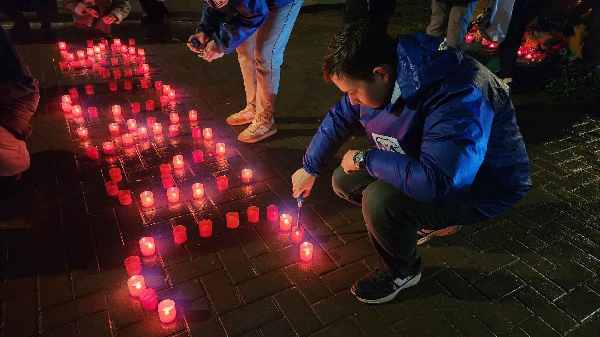 егорьевск, Подмосковье, Московская область, свеча памяти, траурный митинг,теракт,