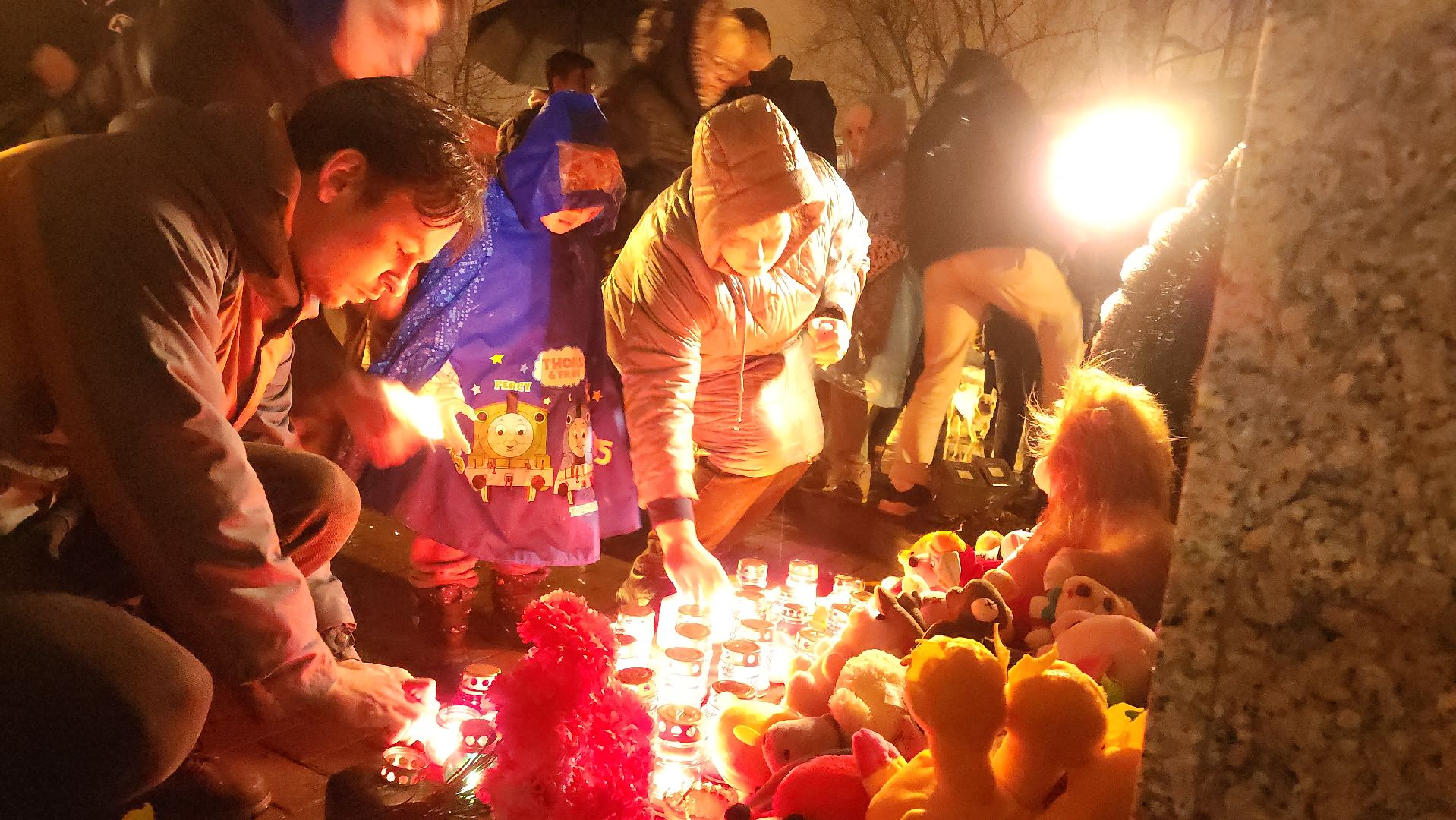 егорьевск, Подмосковье, Московская область, свеча памяти, траурный митинг,теракт,