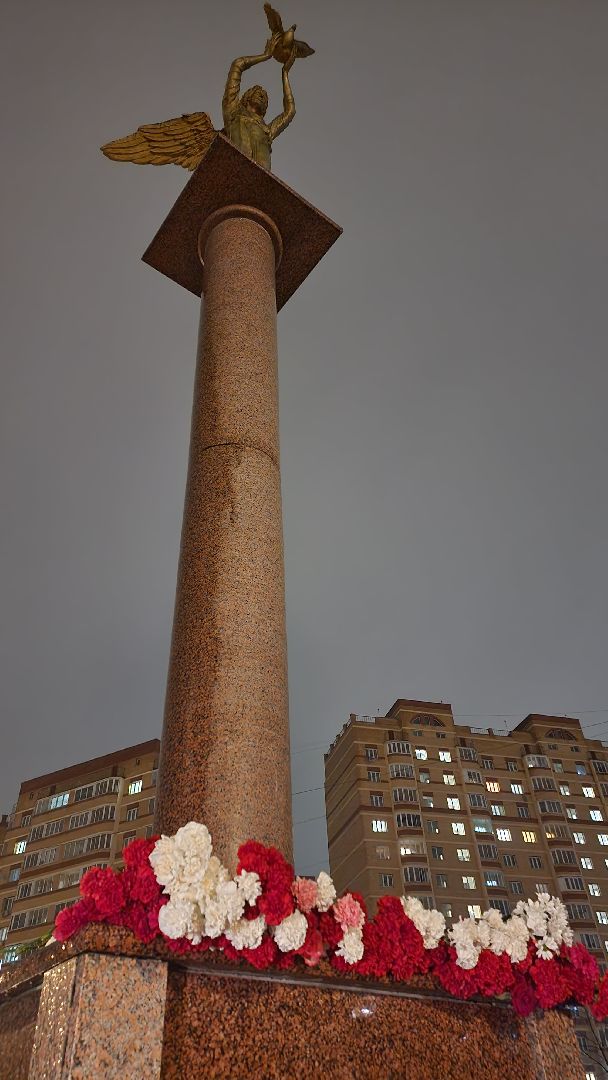 егорьевск, Подмосковье, Московская область, свеча памяти, траурный митинг,теракт,