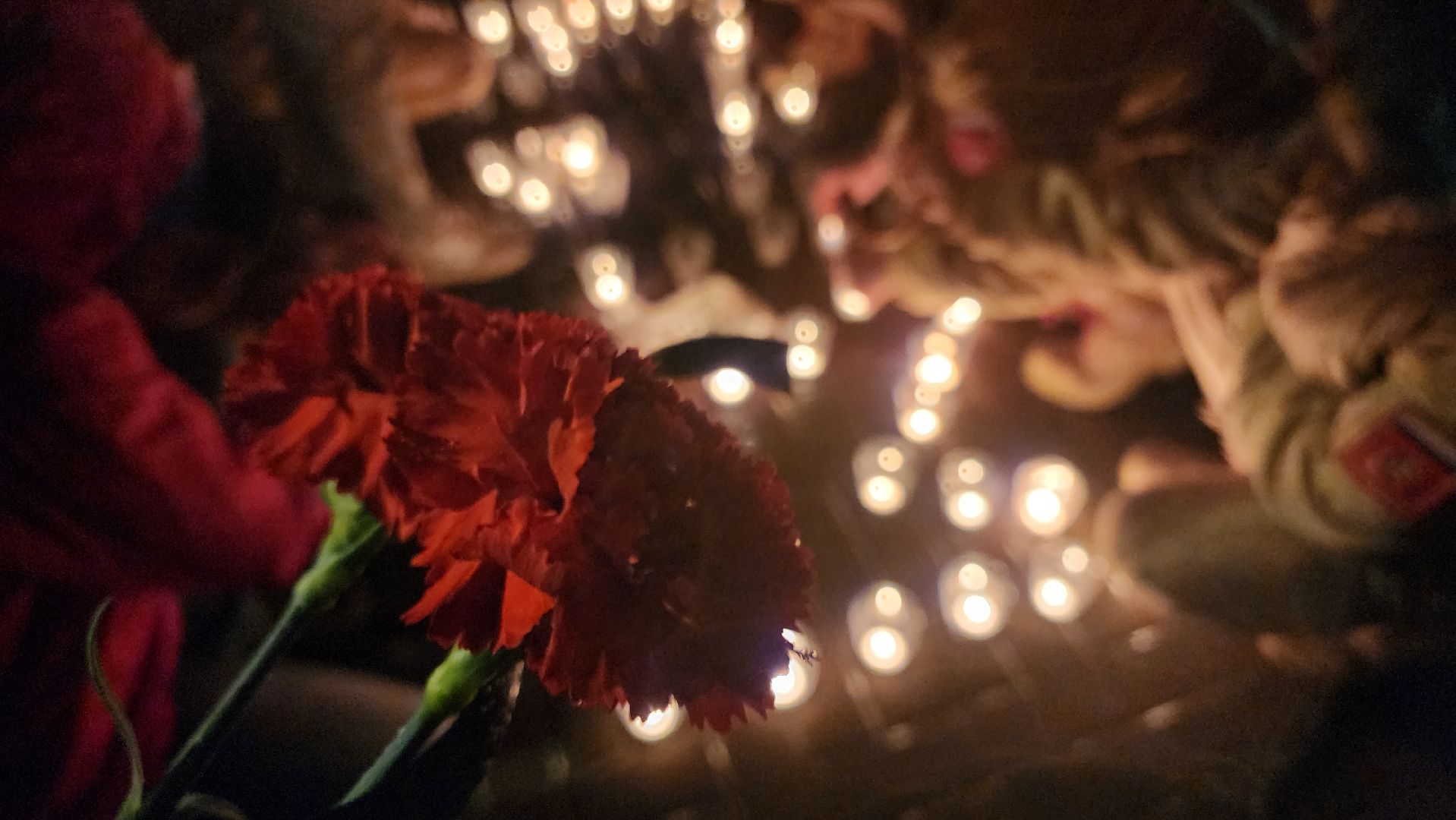 егорьевск, Подмосковье, Московская область, свеча памяти, траурный митинг,теракт,