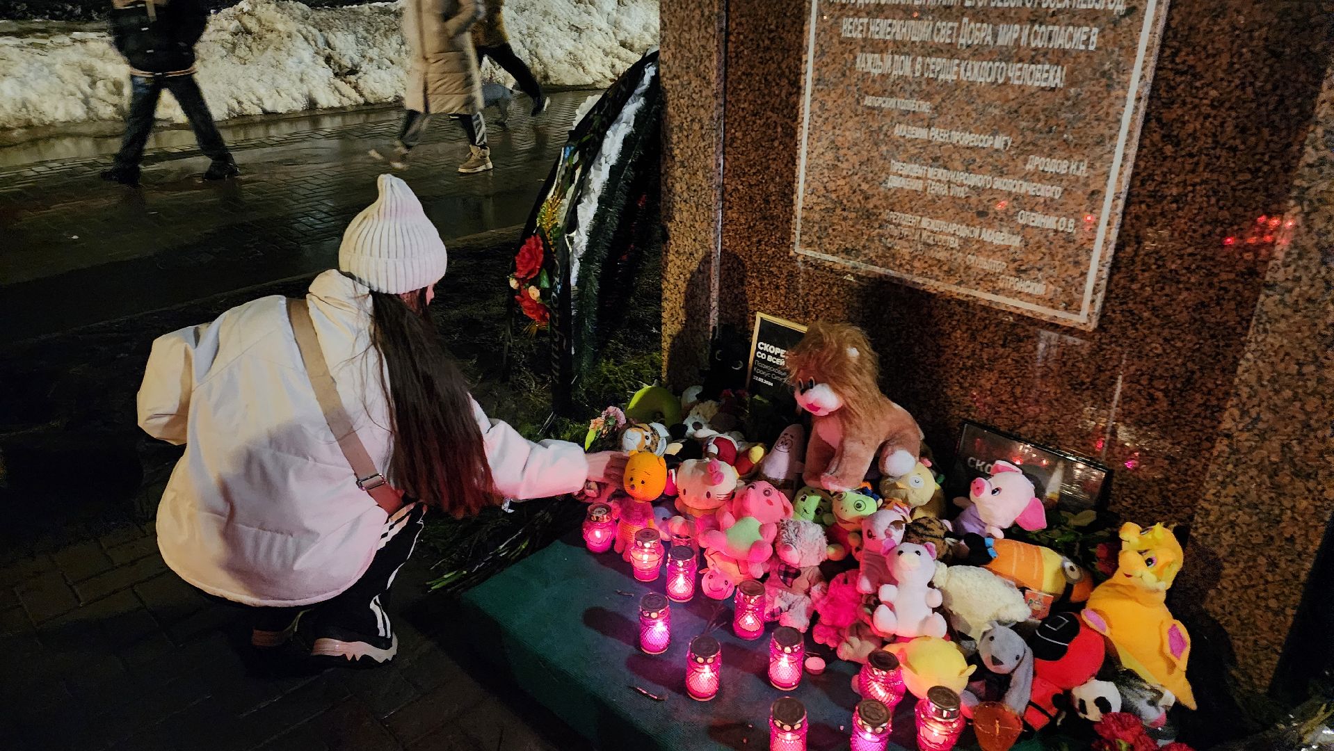 егорьевск, Подмосковье, Московская область, свеча памяти, траурный митинг,теракт,