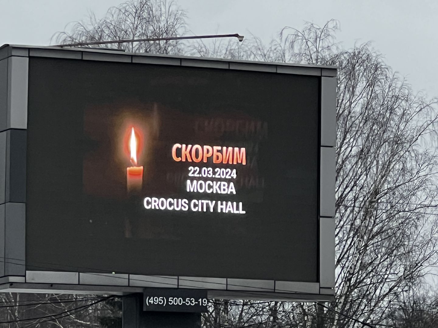 Солнечногорск, свеча памяти, стихийный мемориал, жители, Табло,теракт,