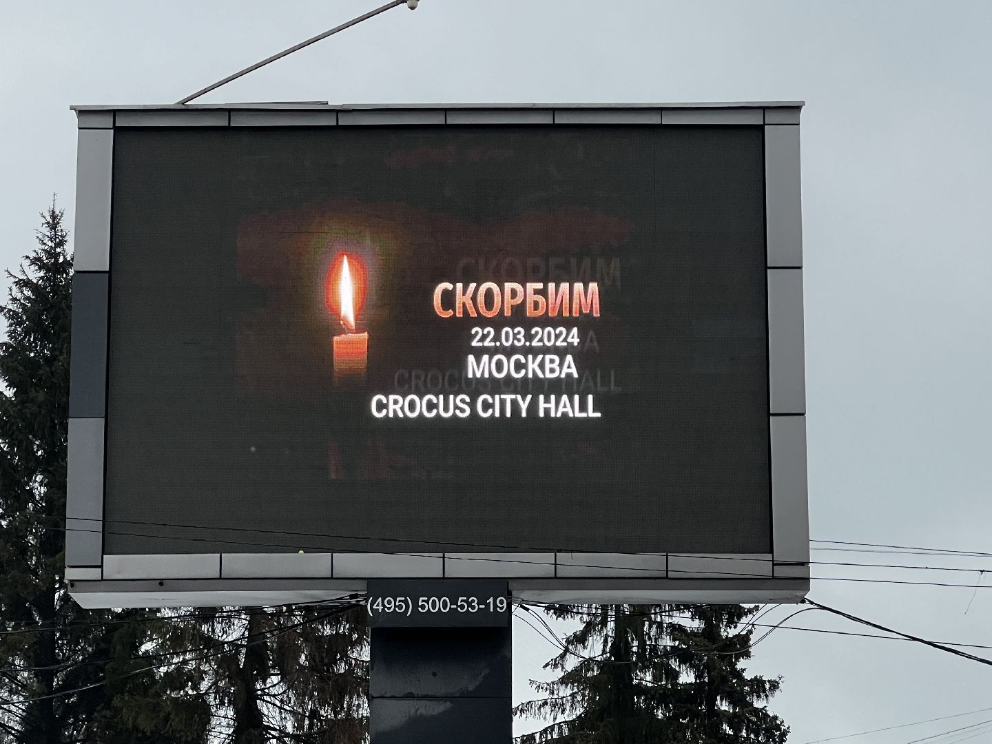 Солнечногорск, свеча памяти, стихийный мемориал, жители, Табло,теракт,