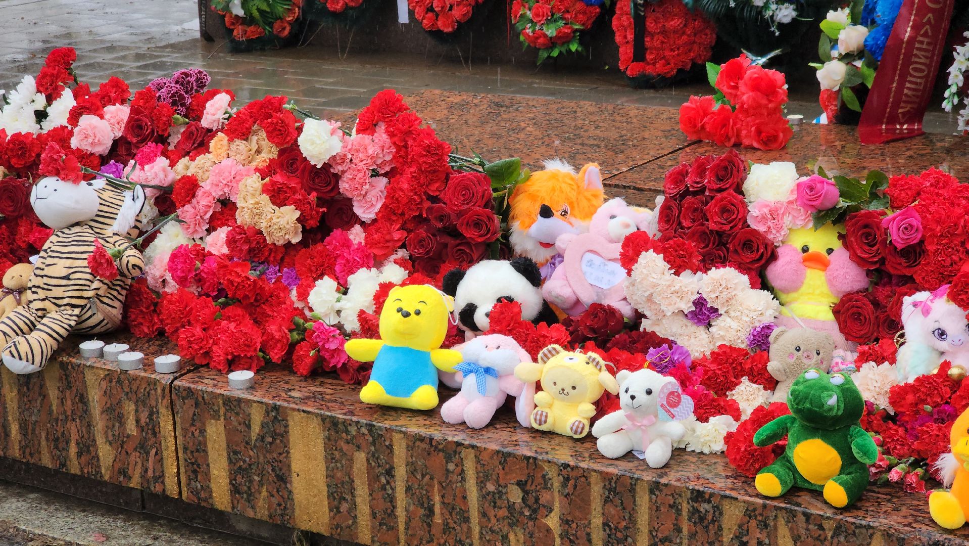 долгопрудный, теракт, крокус сити холл, пострадавшие, КПРФ,