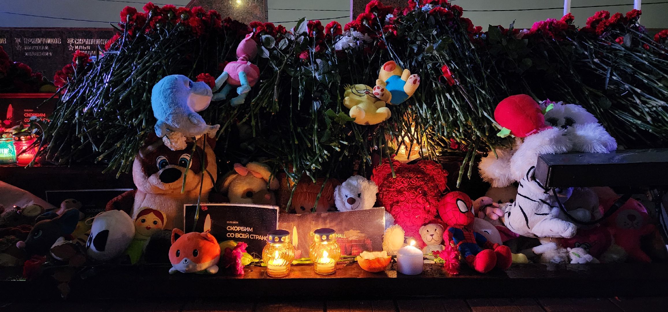 раменское, общество, раменский округ скорбит со всей страной, свеча памяти,теракт,