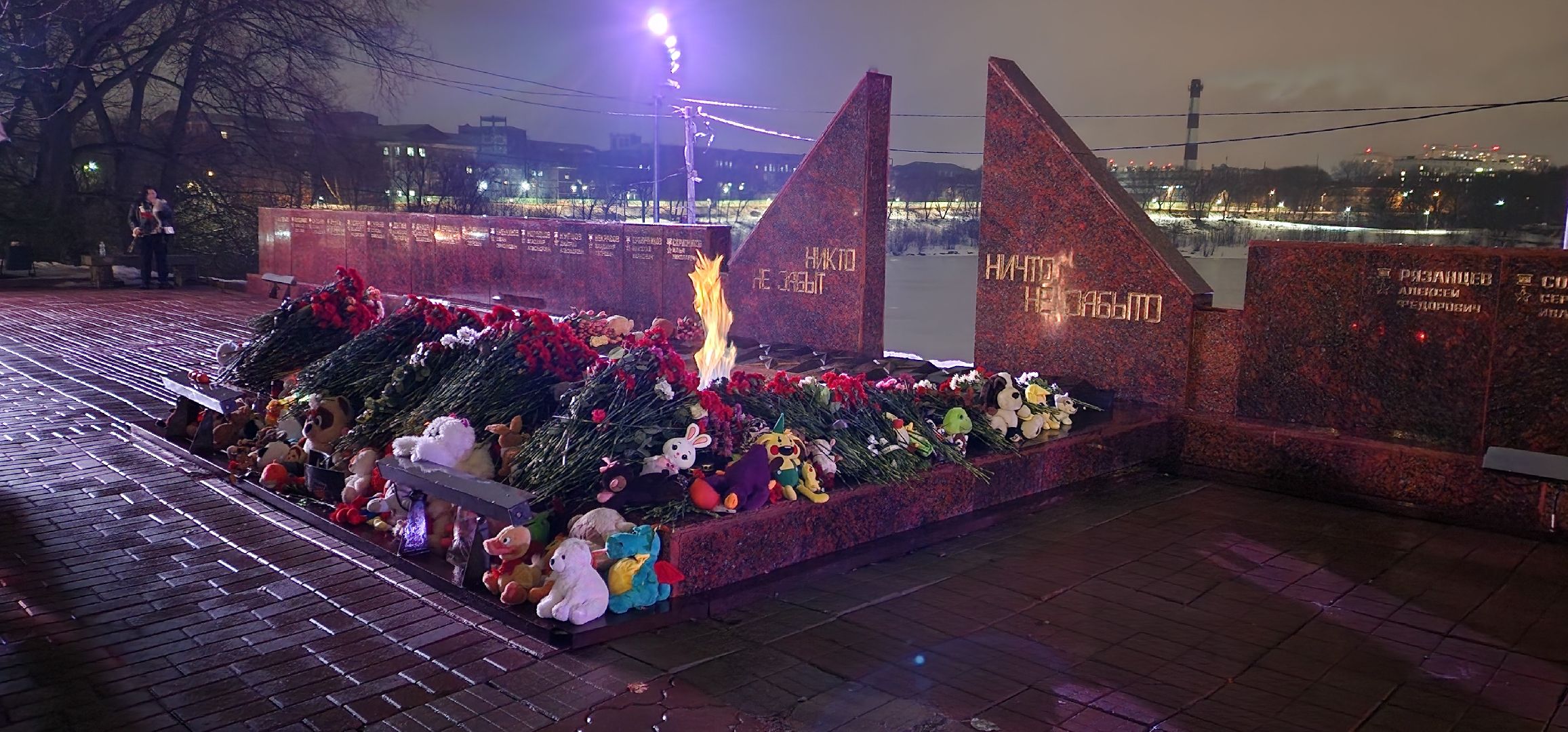 раменское, общество, раменский округ скорбит со всей страной, свеча памяти,теракт,