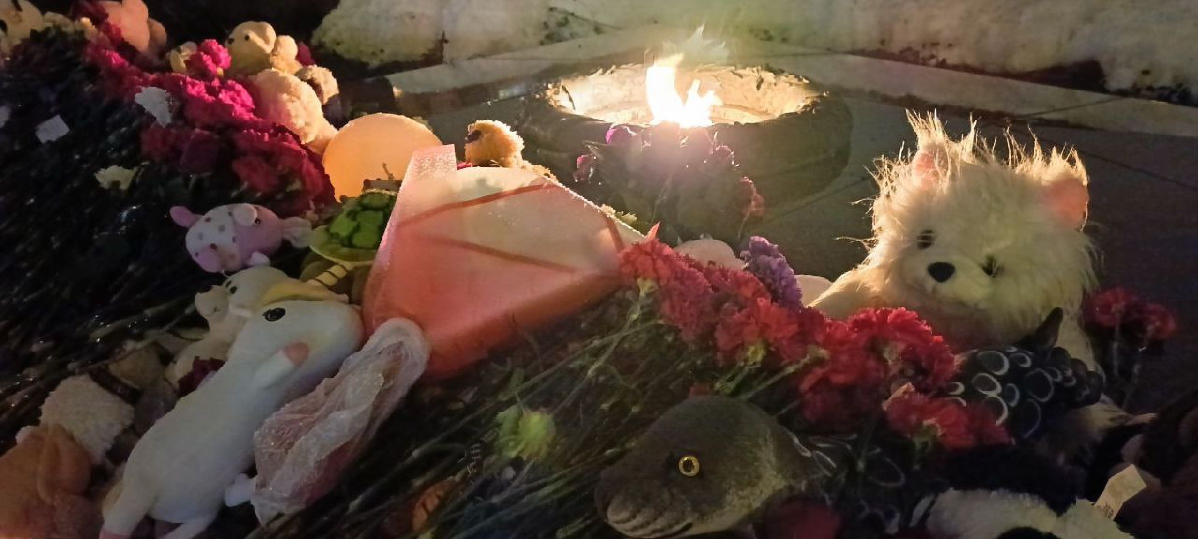 Дмитров, Акция Свеча памяти,теракт,