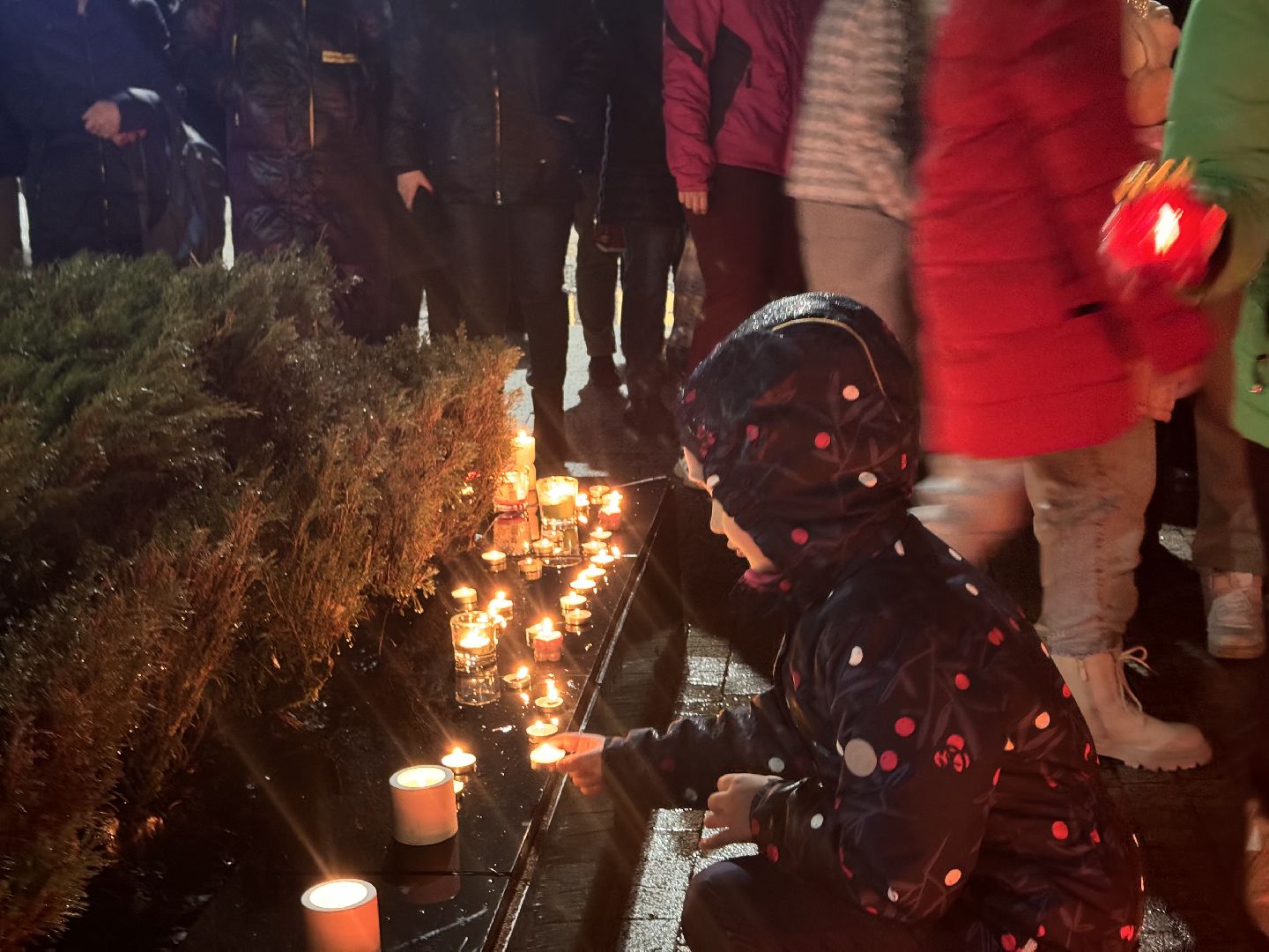 шаховская, акция, свеча памяти, крокус сити холл,теракт,