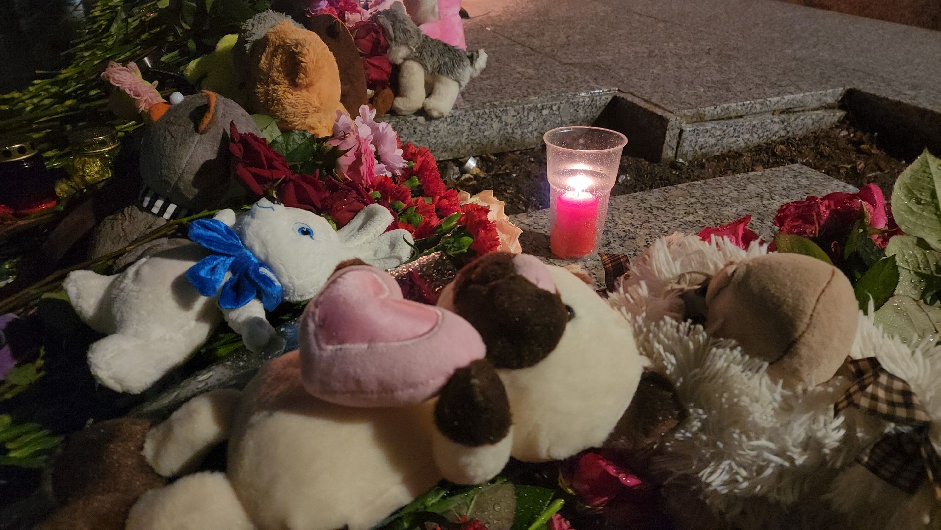 ступино,теракт, акция,