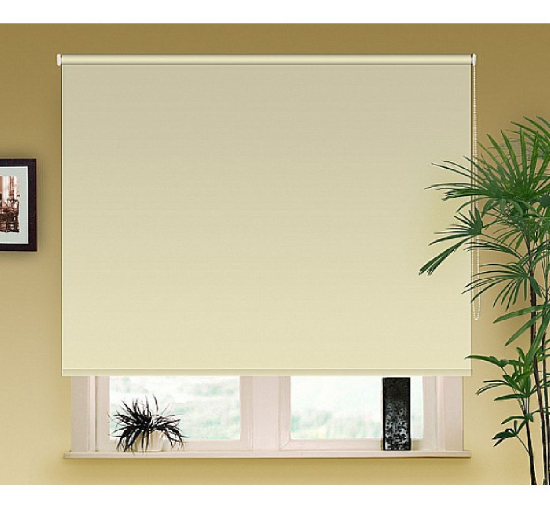 Павловский Посад, городской округ Павловский Посад, региональная программа, земля за 1 рубль, экономика, производство