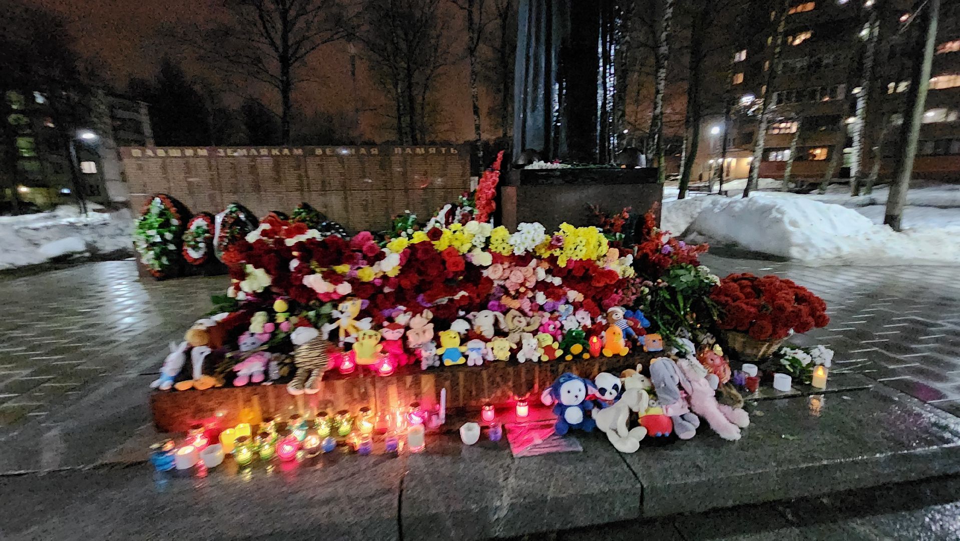 долгопрудный, свеча памяти, крокус, волонтеры, молодежный парламент,теракт,