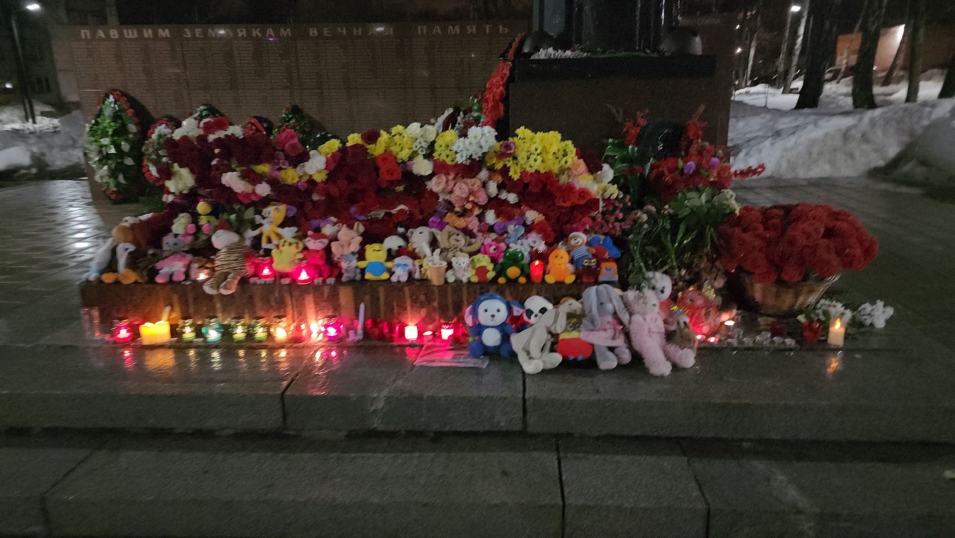 долгопрудный, свеча памяти, крокус, волонтеры, молодежный парламент,теракт,