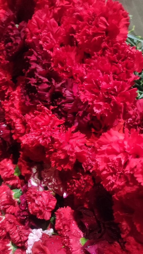 волоколамск, свеча памяти,теракт,