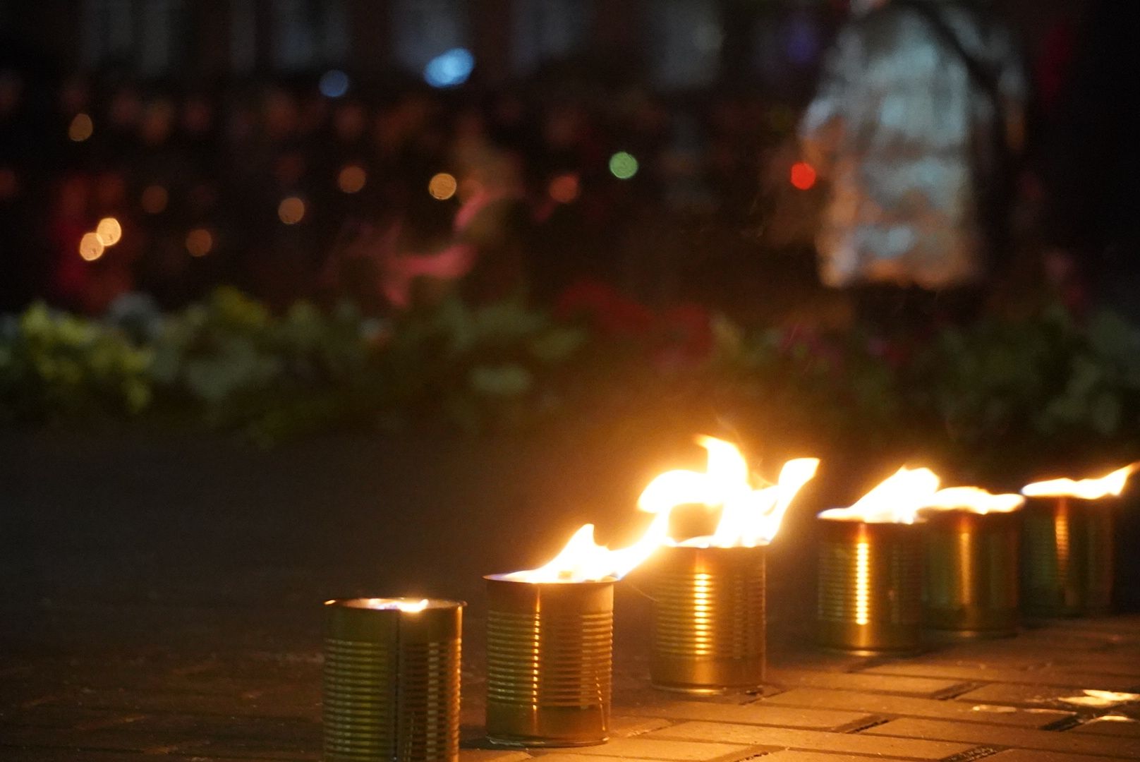 Павловский Посад, городского округ павловский посад, Люди, Крокус, Журавли, свеча памяти,теракт,