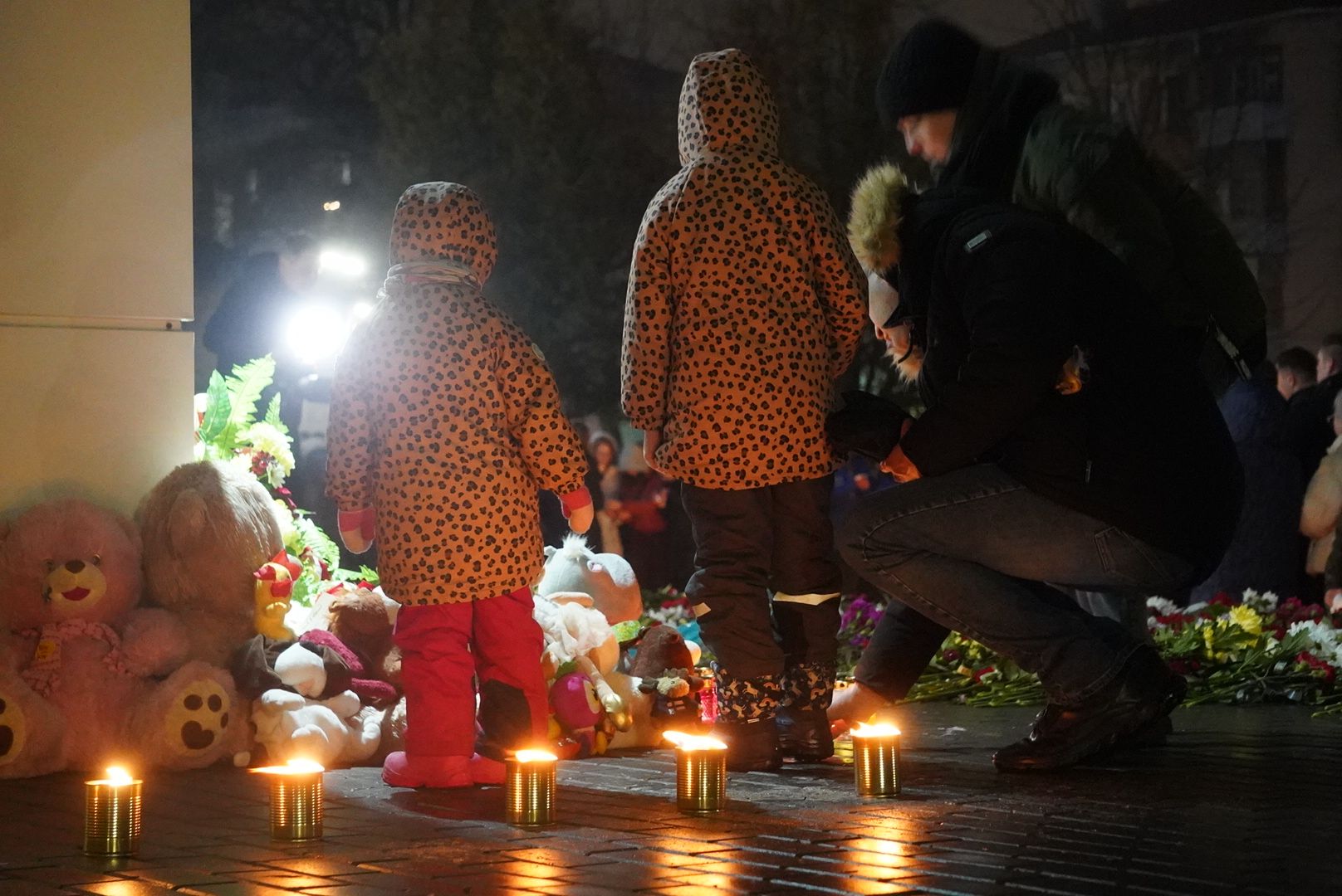 Павловский Посад, городского округ павловский посад, Люди, Крокус, Журавли, свеча памяти,теракт,