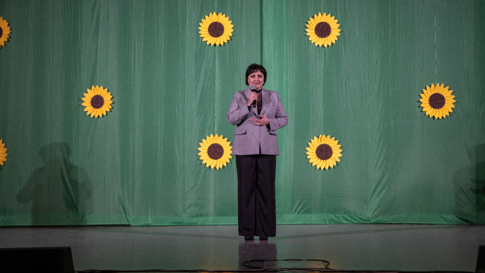 егорьевск, культура, день работника культуры, дк, конина,