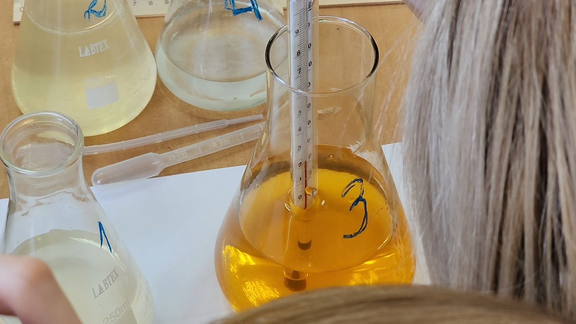 ступино, лесничество, образование подмосковья,