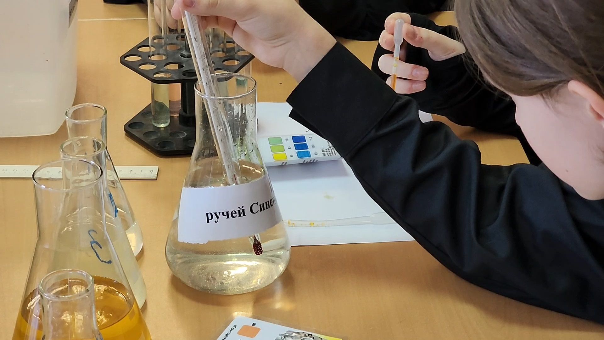 ступино, лесничество, образование подмосковья,