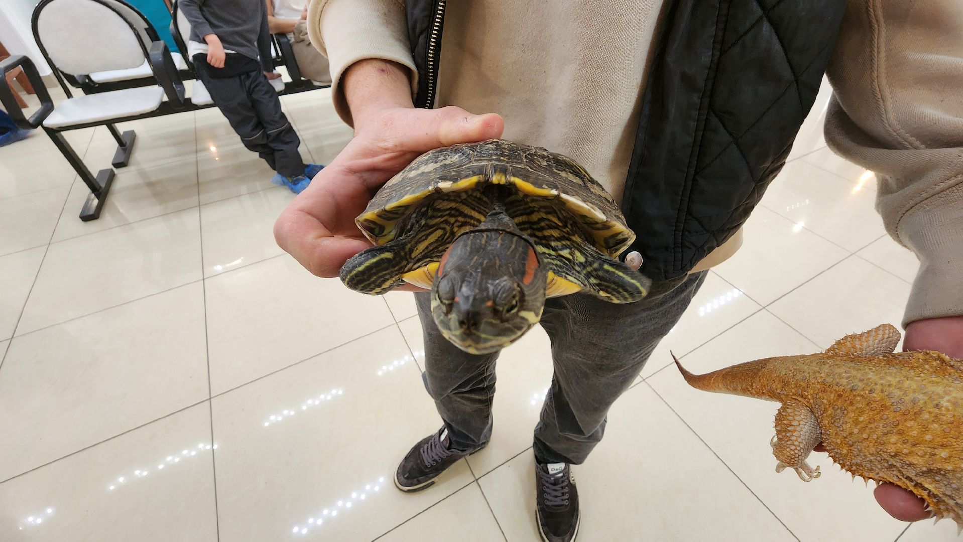 Реутов, музей, выставка, пауки, змеи,