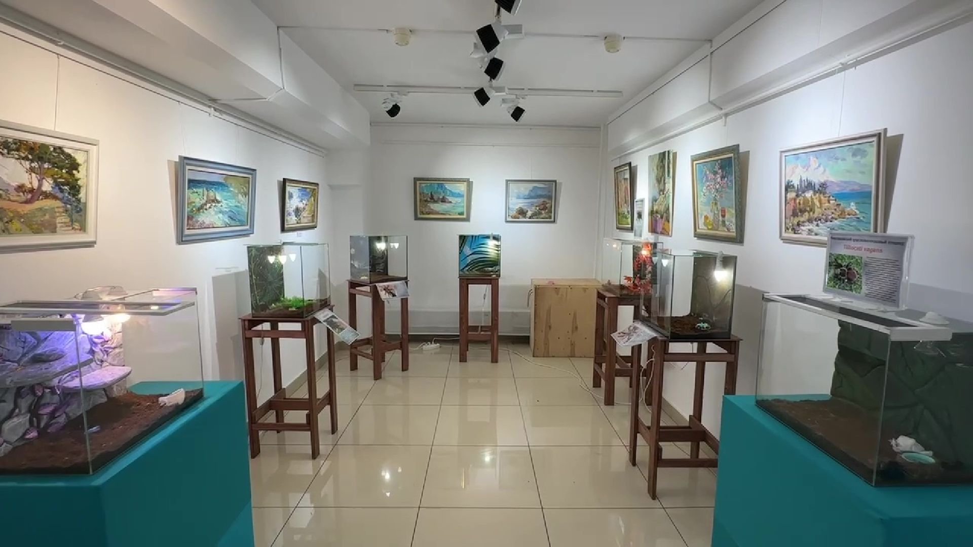 Реутов, музей, выставка, пауки, змеи,